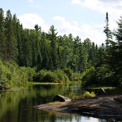algonquin-provincial-park-1748100_640 Anne-Marie Nicol - Co-Principal Investigator